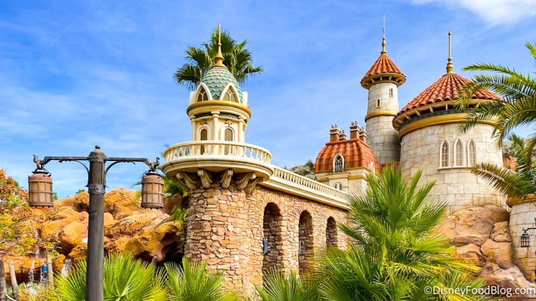 How To Have The Cheapest Trip To Disney World 