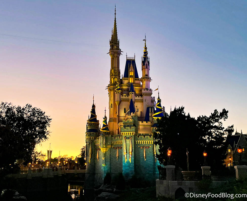 https://www.disneyfoodblog.com/wp-content/uploads/2021/11/2021-wdw-disney-world-atmosphere-magic-kingdom-night-evening-cinderella-castle-stock.jpg