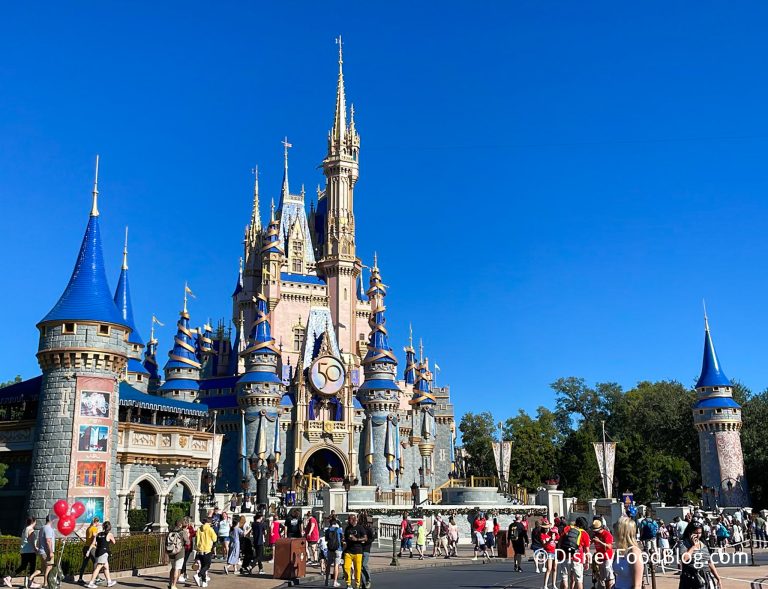 cinderella castle fire | the disney food blog