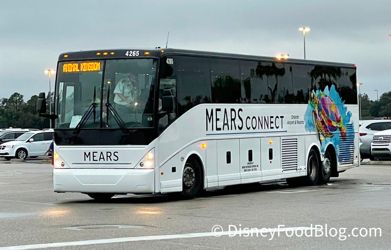 Comparing The 2 Disney World Magical Express Replacement Services The 