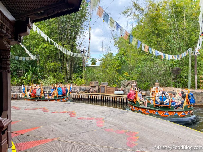 What's New at Disney's Animal Kingdom: BIG Holiday Crowds and a Ride ...