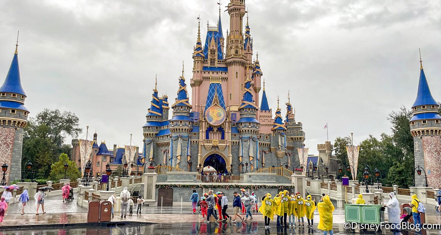 PHOTOS & VIDEOS: Take a Rainy Day Disney World Walk With Us | the ...