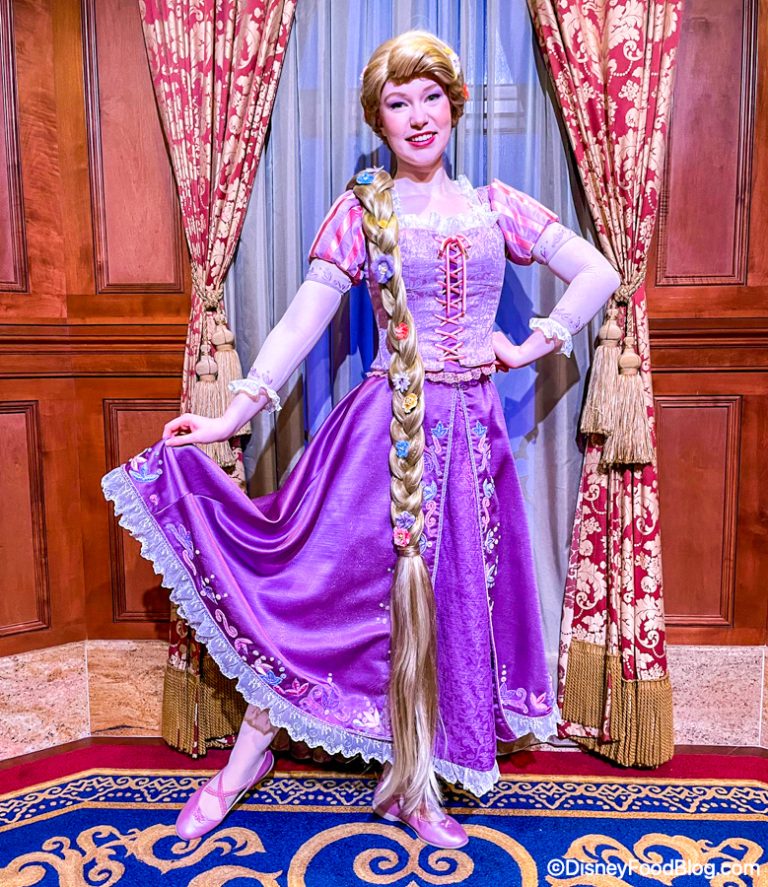 We Got to Meet a RARE Princess in Disney World Today! | the disney food ...