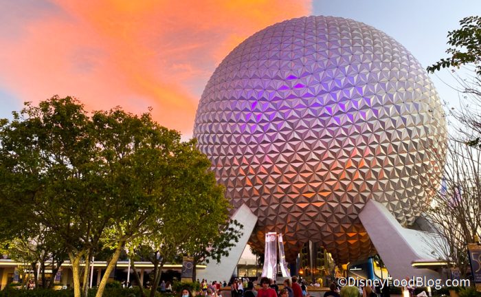 How Much Does It REALLY Cost To Go To Disney World? — The BRUTALLY