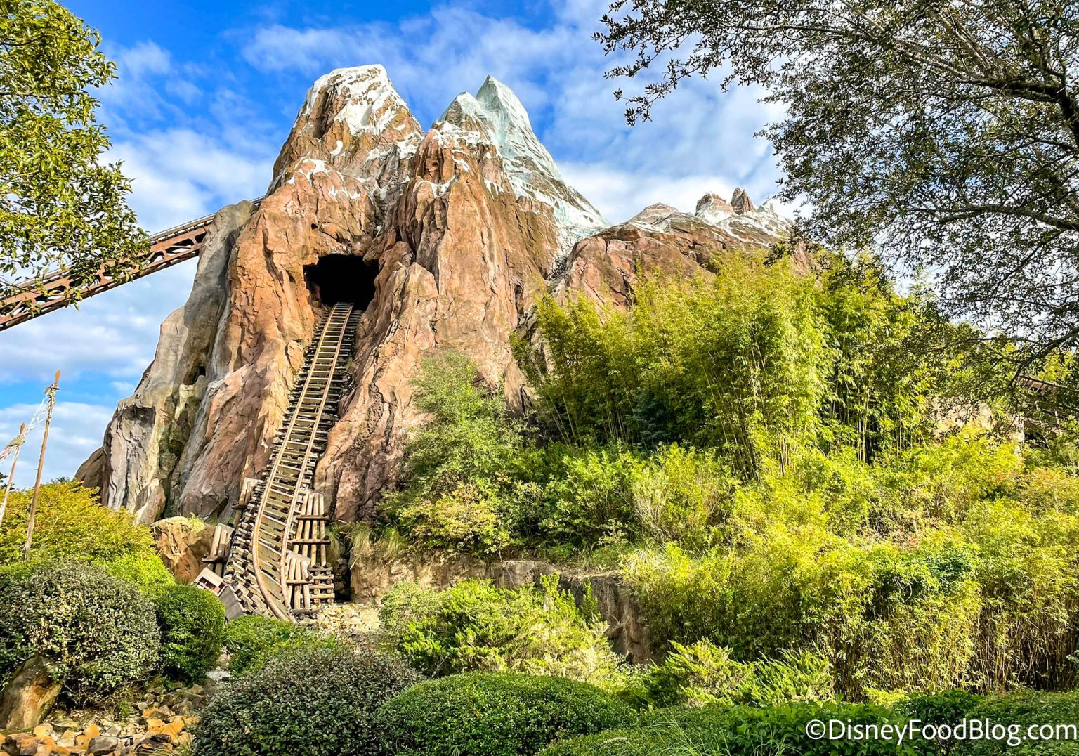 VIDEO: Expedition Everest Ride Vehicles Were Testing in Disney World ...