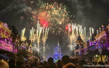 Do Us All a Favor and DON'T Do This at Disney World | the disney food blog