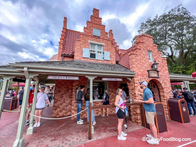 PSA: Magic Kingdom Has CHANGED When You Can Get the Nutella Waffle ...