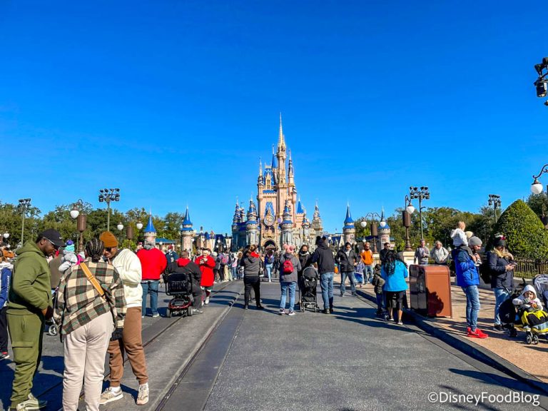 What Are Disney World Crowds Like in January? Pakistans Taste