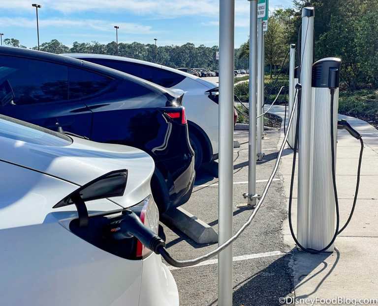 Everything You Need to Know About Bringing an Electric Car to Disney