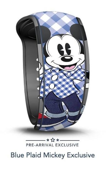 Silver Key Magic Band Buddy – BDI