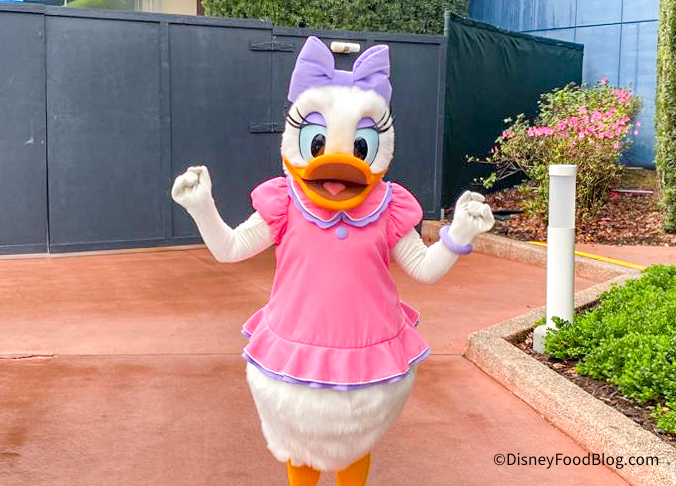Meeting Daisy Duck At Walt Disney World - Mommy Moment