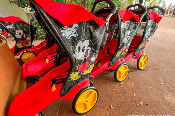 These Disney World Rules Will Change How You Pack Your Park Bag