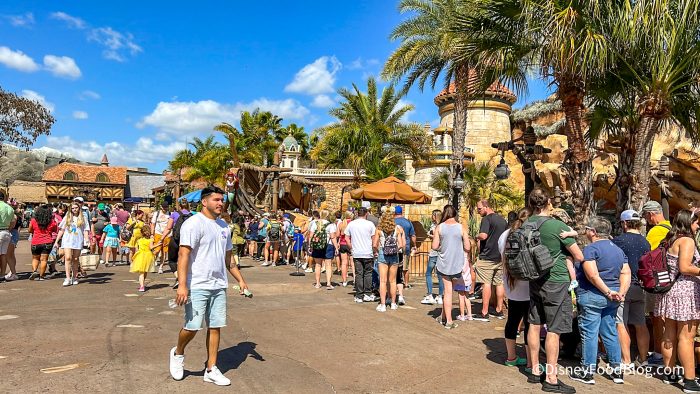 There's One Word Burned in Our Eyes in Disney World Right Now: CROWDS!
