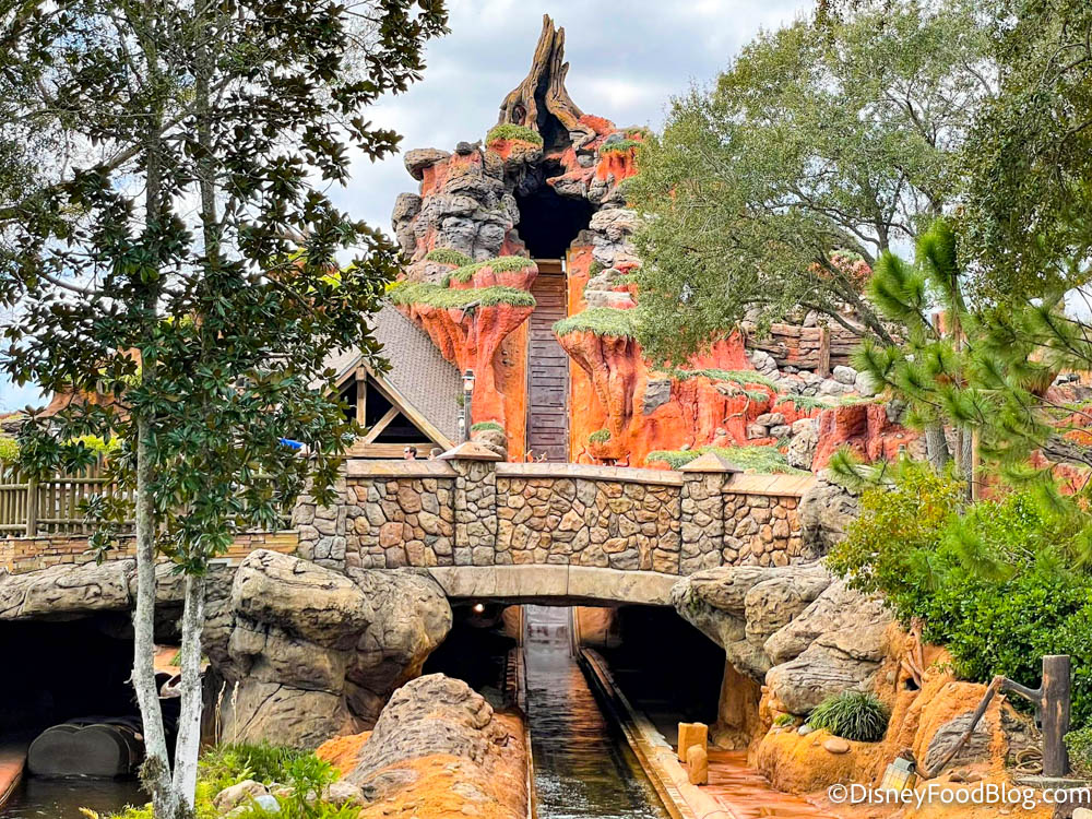 PHOTOS, VIDEO: Complimentary Ziploc Bag Distribution Has Begun at Splash  Mountain in the Magic Kingdom - WDW News Today