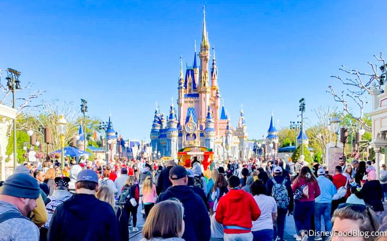 Main Street Bakery | the disney food blog