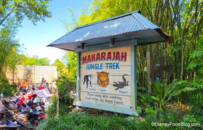 2022-wdw-dak-maharajah-jungle-trek-700x4