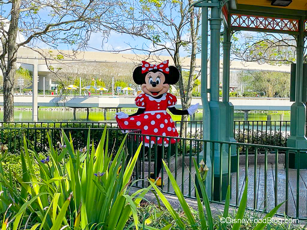 Mickey and Minnie Mouse Broken Up at EPCOT •