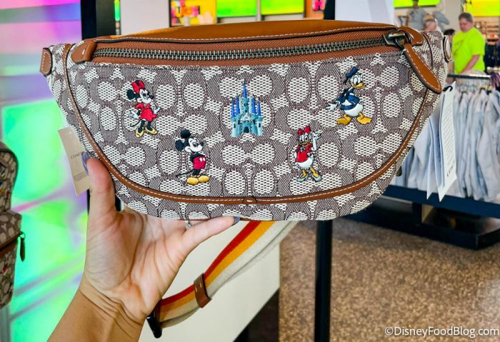 COACH Disney Collection: Bags. Clothing & Accessories