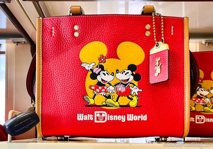 Act Fast– The New 2022 Disney X Coach Collection Is Selling Out!