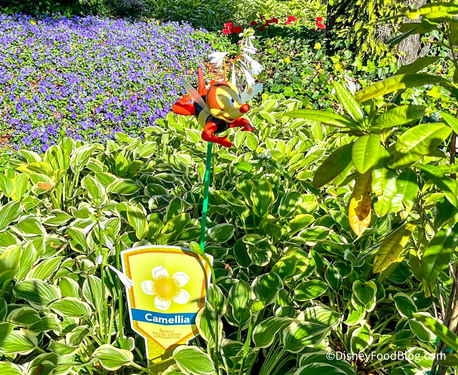 Why You Should WAIT to Do the Flower and Garden Scavenger Hunt in EPCOT