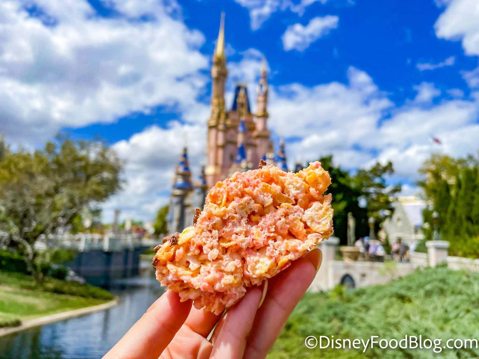 REVIEW: Disney World's NEW Treats Prove You Shouldn't Mess With the ...