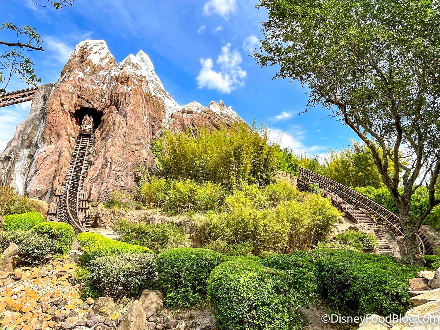 WHAT is Going On With Expedition Everest at Disney World? - Disney by Mark