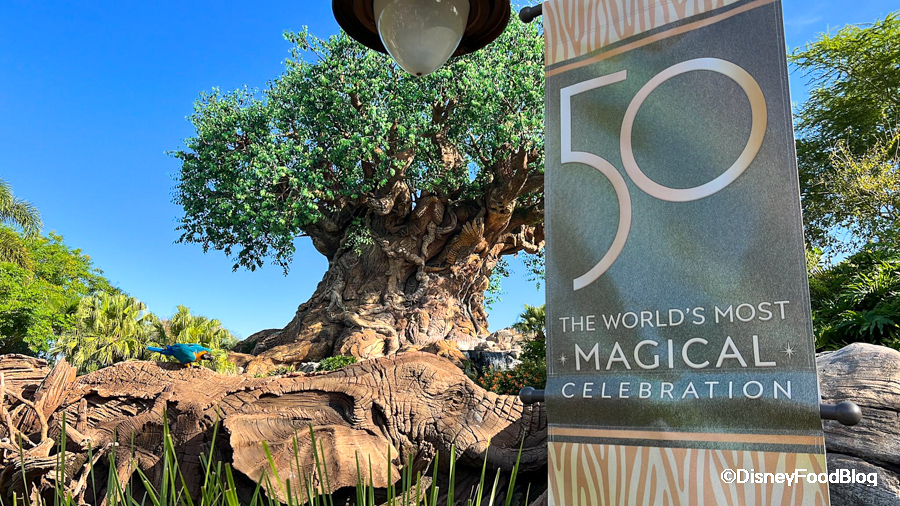 What's New in Animal Kingdom: Construction, Aliens, Yetis, and More!