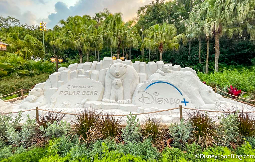 Disneynature's Polar Bear Sand Sculpture on Display at Disney's Animal  Kingdom for a Limited Time - Orlando Theme Park News