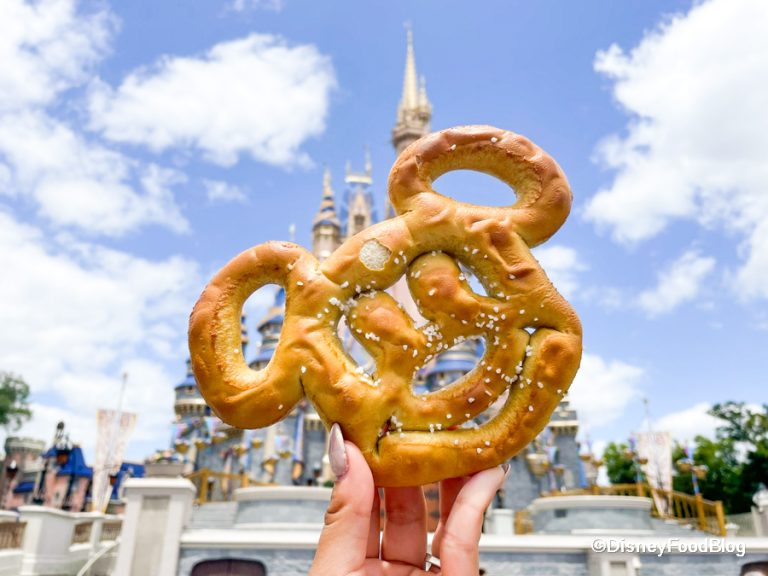 REVIEW: This NEW $8 Meal Could Be a Gamechanger in Disney World | the ...