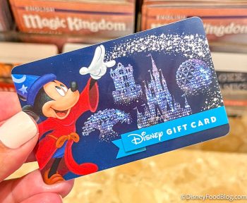 Disney World Vacation Hacks the Pros SWEAR By | the disney food blog