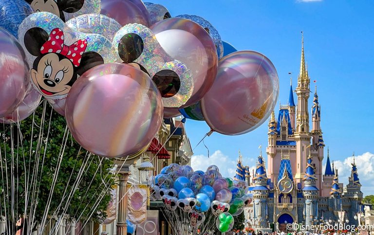 Twelve Essentials You Need In Your Disney World Park Bag! 