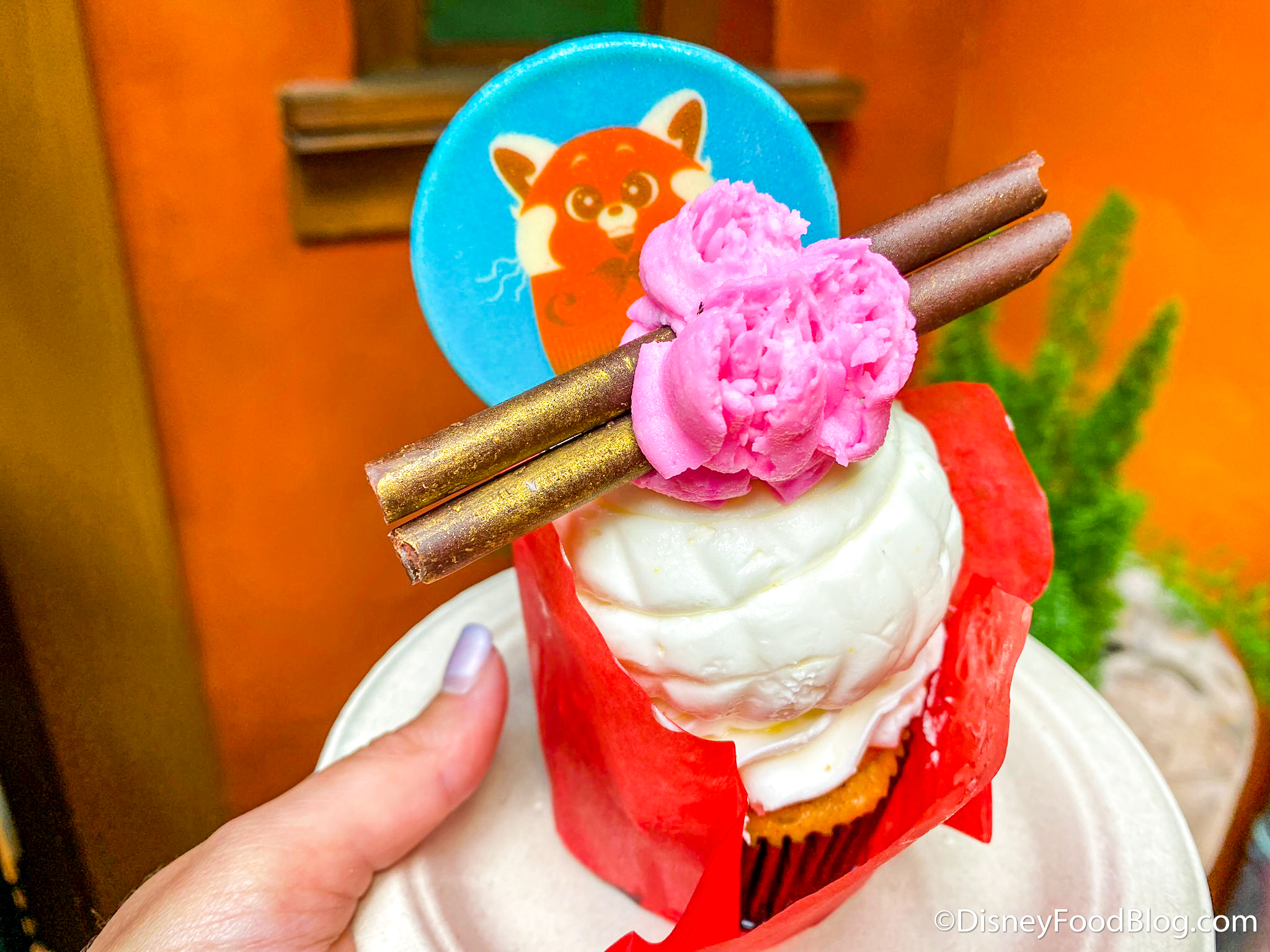 Red Panda Cake for Teddy's 5th Birthday