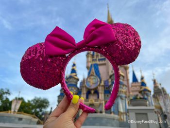 What's It REALLY Like to Wear Minnie Ears ALL Day in Disney World? Here ...