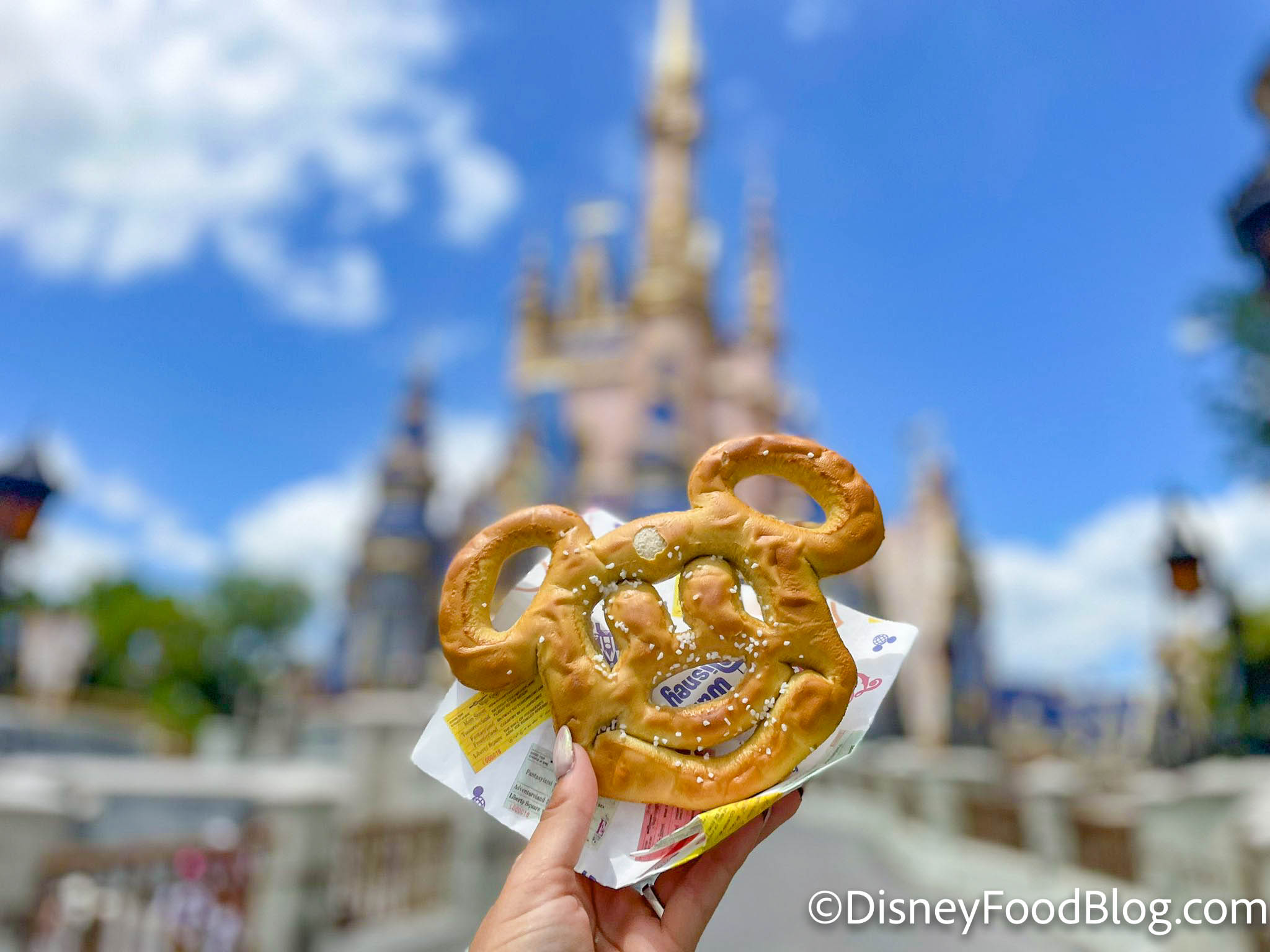 Eight Souvenirs You Had No Idea You Could Get at Disney World 