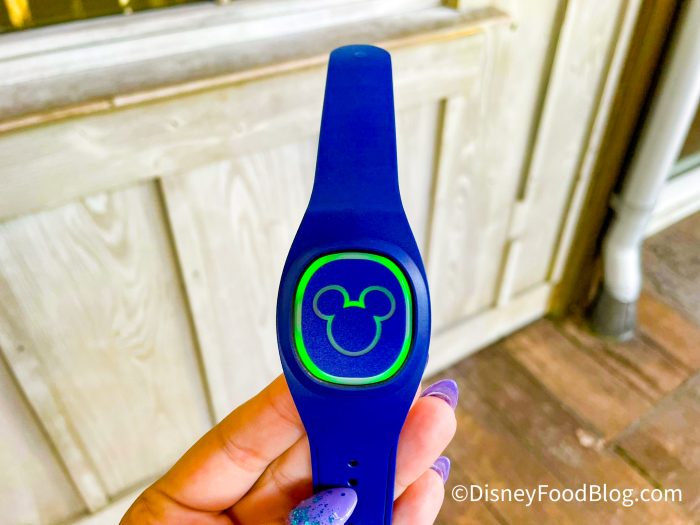 Is It Safe to Buy a Magicband on ? What to Know Before you