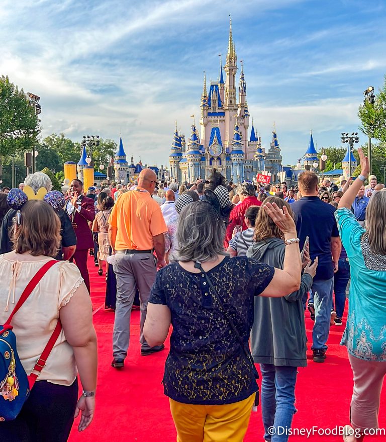 PHOTOS EXCLUSIVE INSIDE Look at the Disney World Event You'll Likely