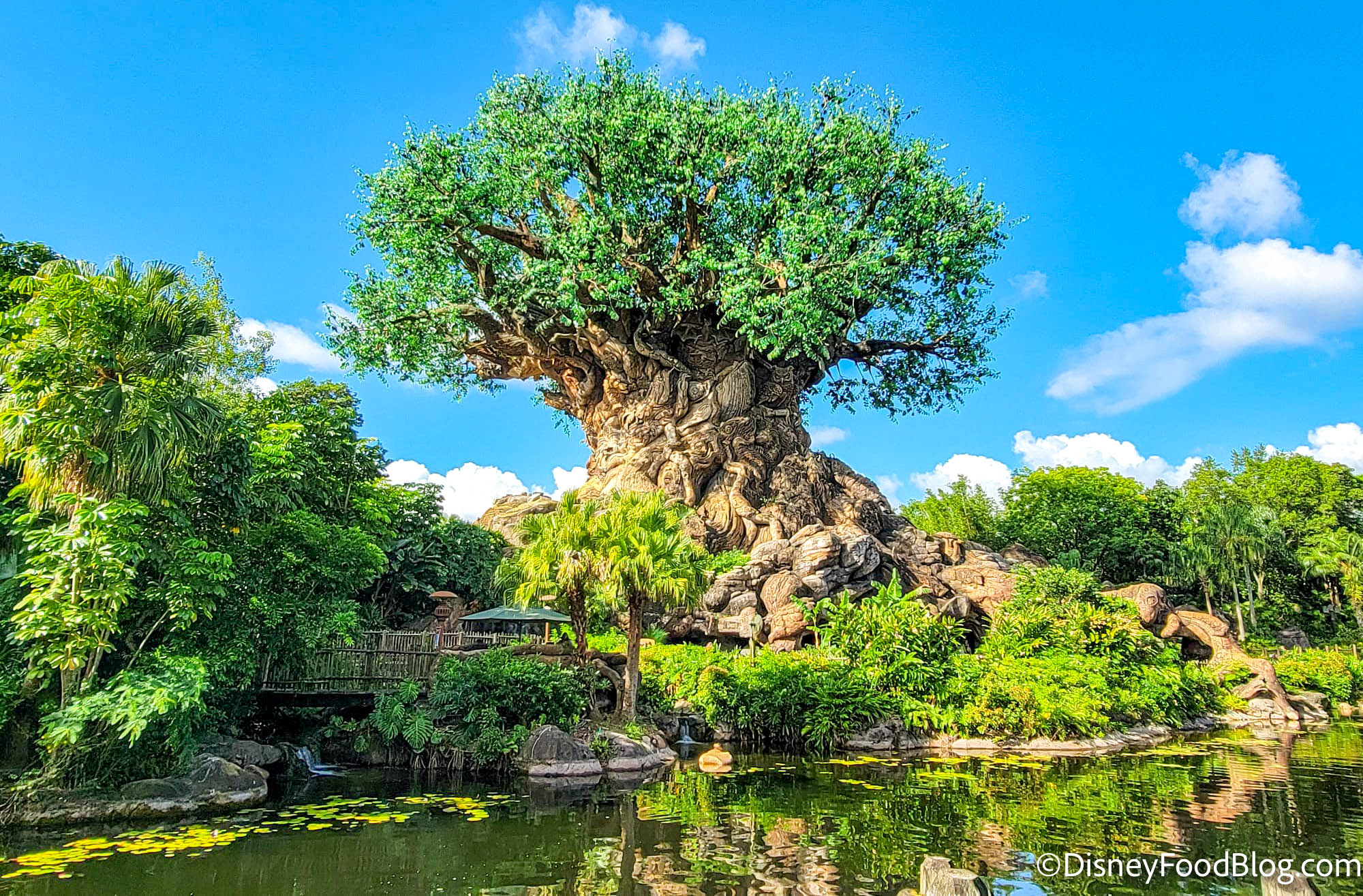 Festival Of The Lion King CLOSING For Short Time In Disney s Animal 