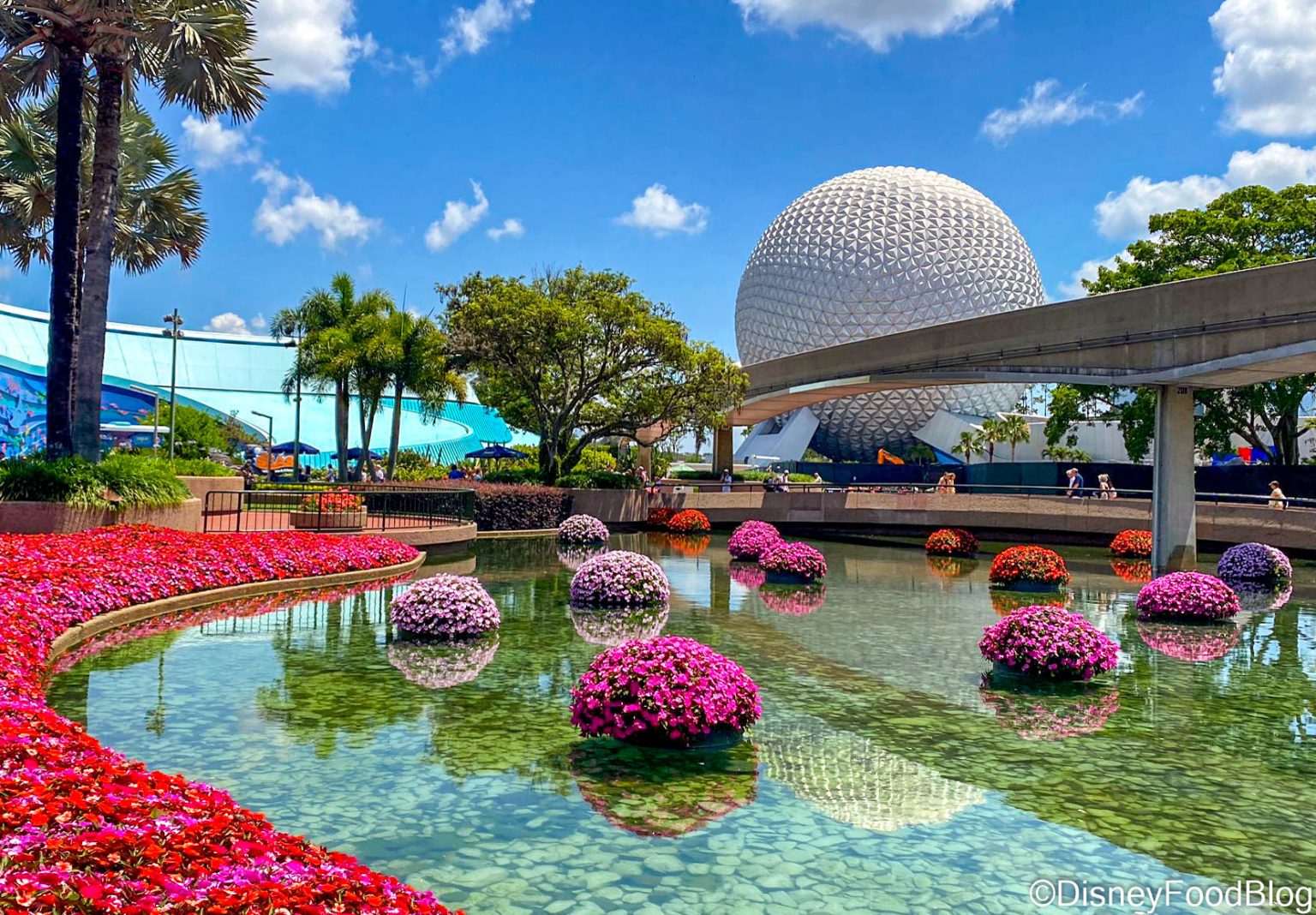 what-s-new-in-epcot-feta-cheesecake-and-a-new-orange-bird-item-the