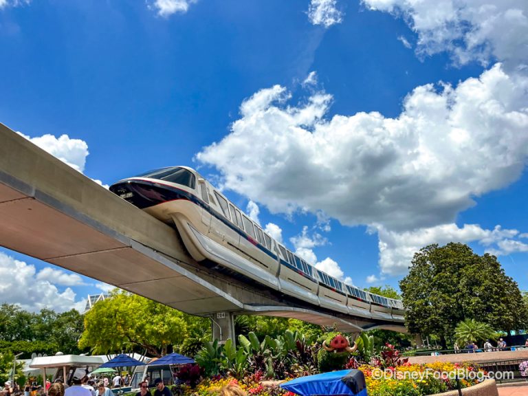 What's Park Hopping Like in Disney World Now? Here's EVERYTHING You ...