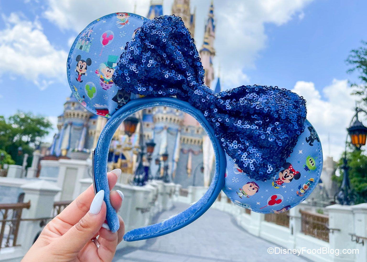 PHOTOS: Can You Name ALL The Characters On Disney World’s NEW Ears