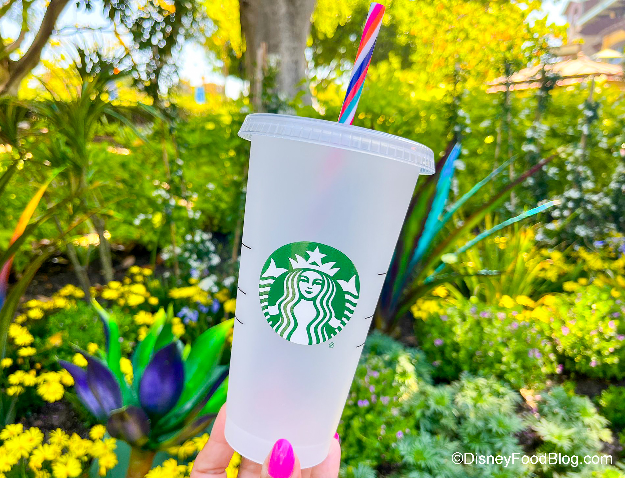 New Starbucks Color Changing Cold Cups 2020 CP507 Celebratesf