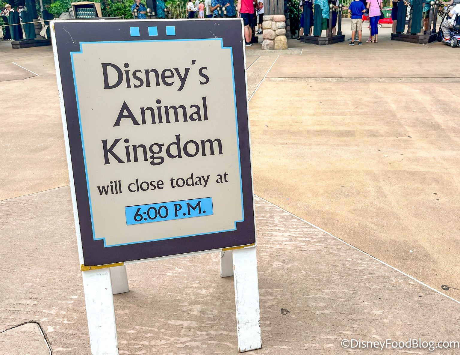 What's New in Animal Kingdom An Updated Attraction Reopens While