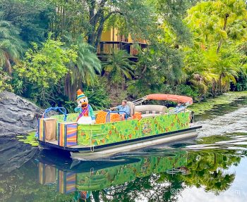 What's New in Disney's Animal Kingdom: A Refreshing Treat Has CHANGED ...