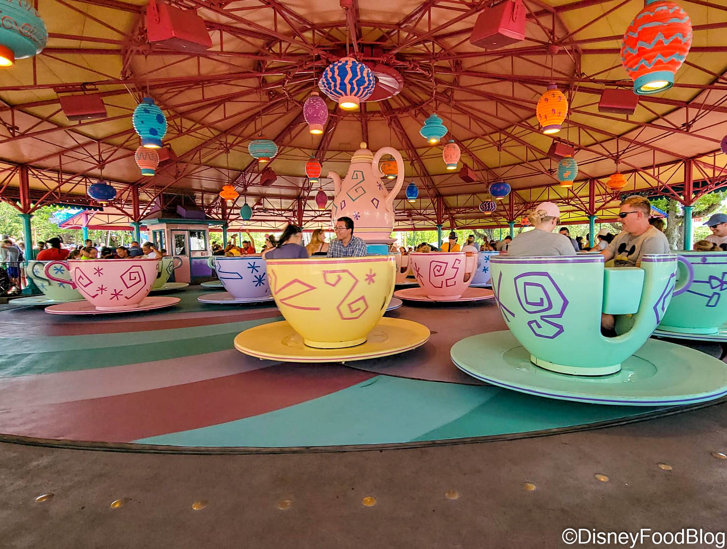 Shopping for Disney Teacup and Saucers