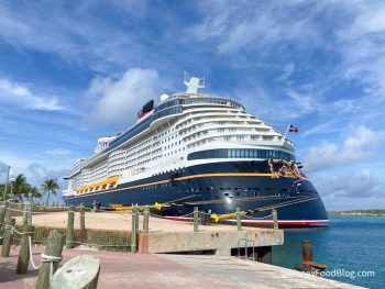 A Full List of What You CAN'T Bring on a Disney Cruise | the disney ...