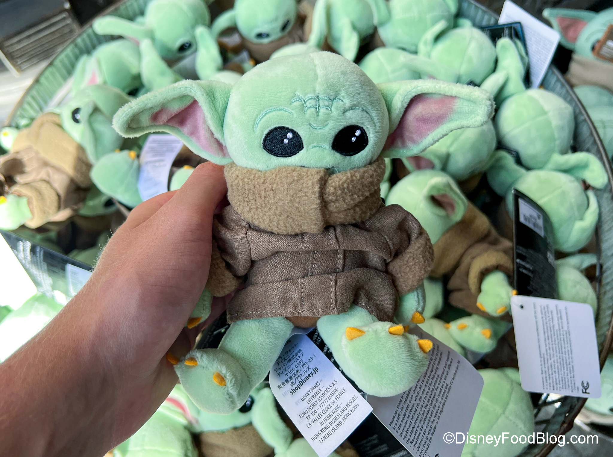 UPDATED: The Mandalorian and Baby Yoda Meet and Greets NOT Currently in the  Works at Disney