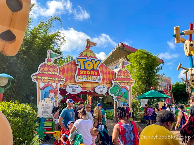 The NEW Toy Story Land Store Has Opened in Disney World — Go Inside ...