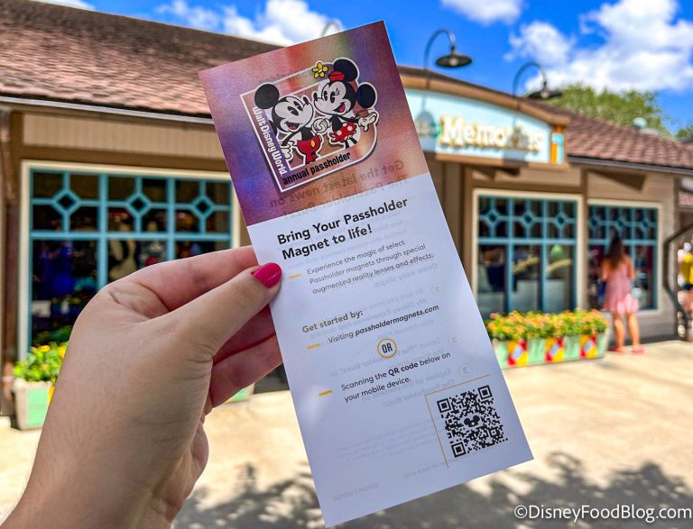 How to Get the NEW Annual Passholder Magnet in Disney World! | the ...