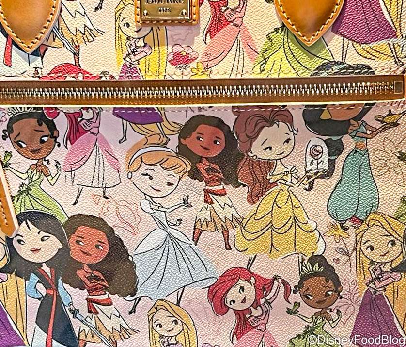Disney Princess 2022 by Disney Dooney and Bourke - Disney Dooney and Bourke  Guide