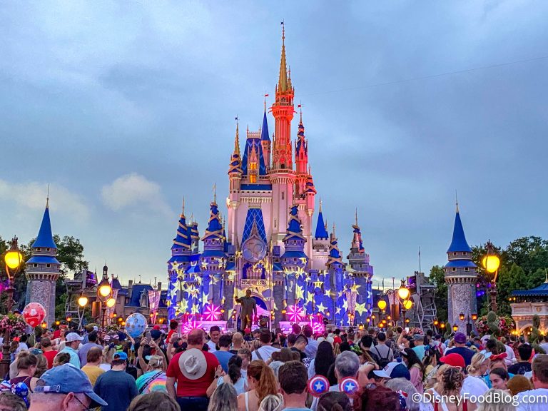 An EXCLUSIVE Fireworks Show Is Returning to Disney World | the disney ...